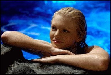 22895169.jpg