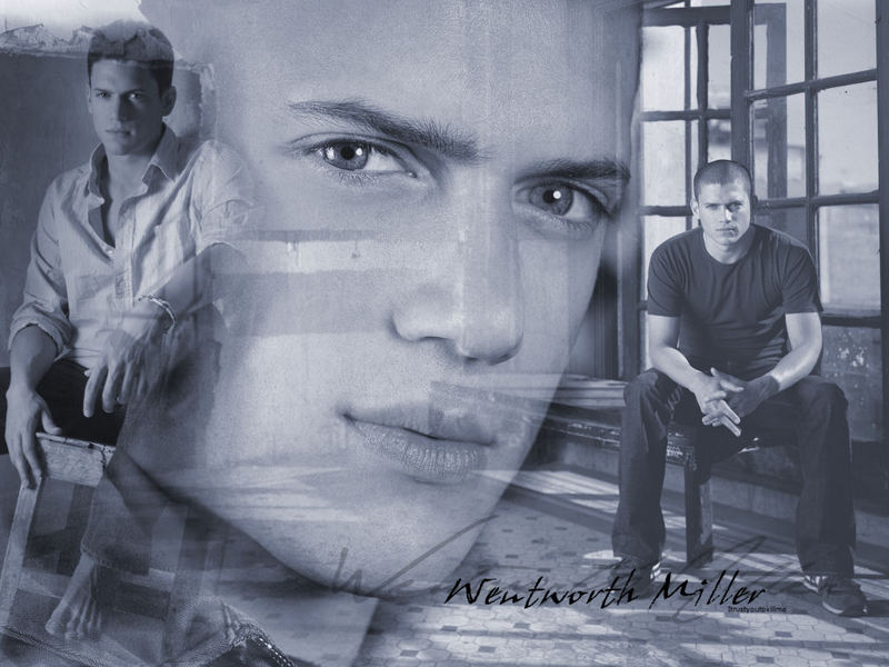 wentmiller_1024.jpg